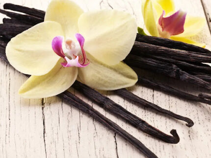 FRENCH VANILLA FRAGRANCE OIL